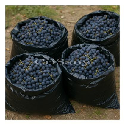 Чувал за грозде 60/90 НD 60 мк ЕП /10 бр/.