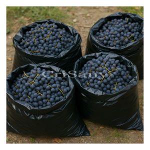 Чувал за грозде 60/90 НD 55 мк ЕУ /10 бр/.